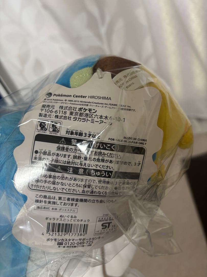 ポンチョを着たピカチュウ