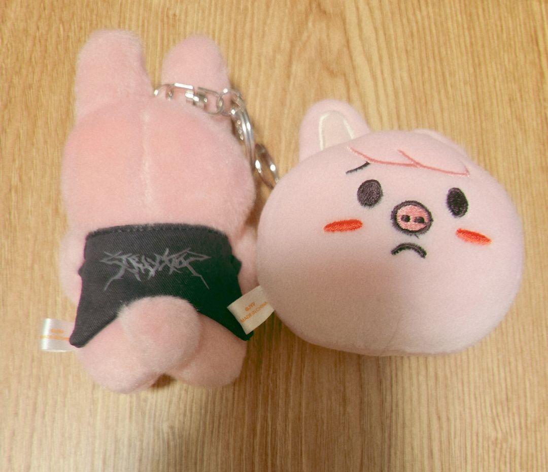 straykids スキズ チャンビン dominATE セット