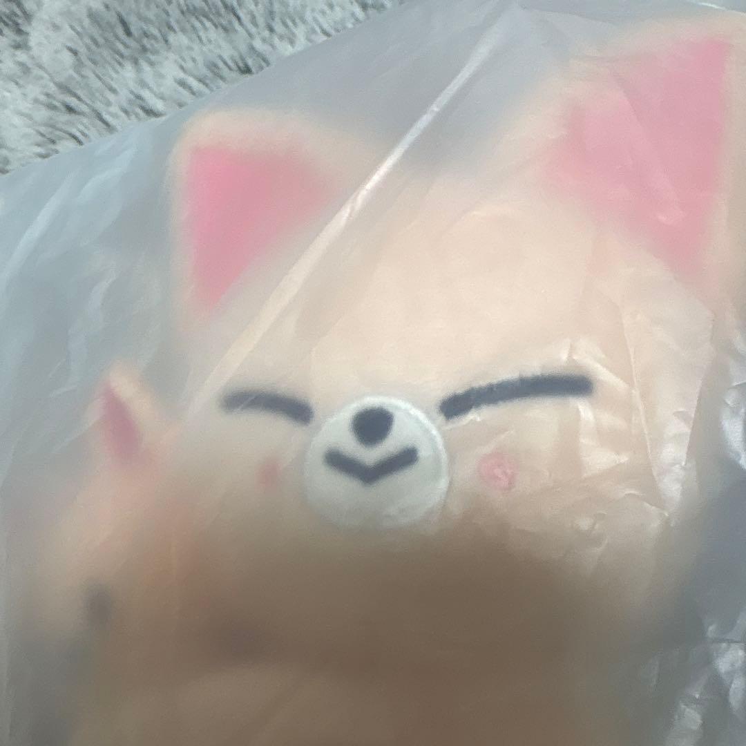 アイドル SKZOO MAGNET PLUSH SET Foxl.Ny