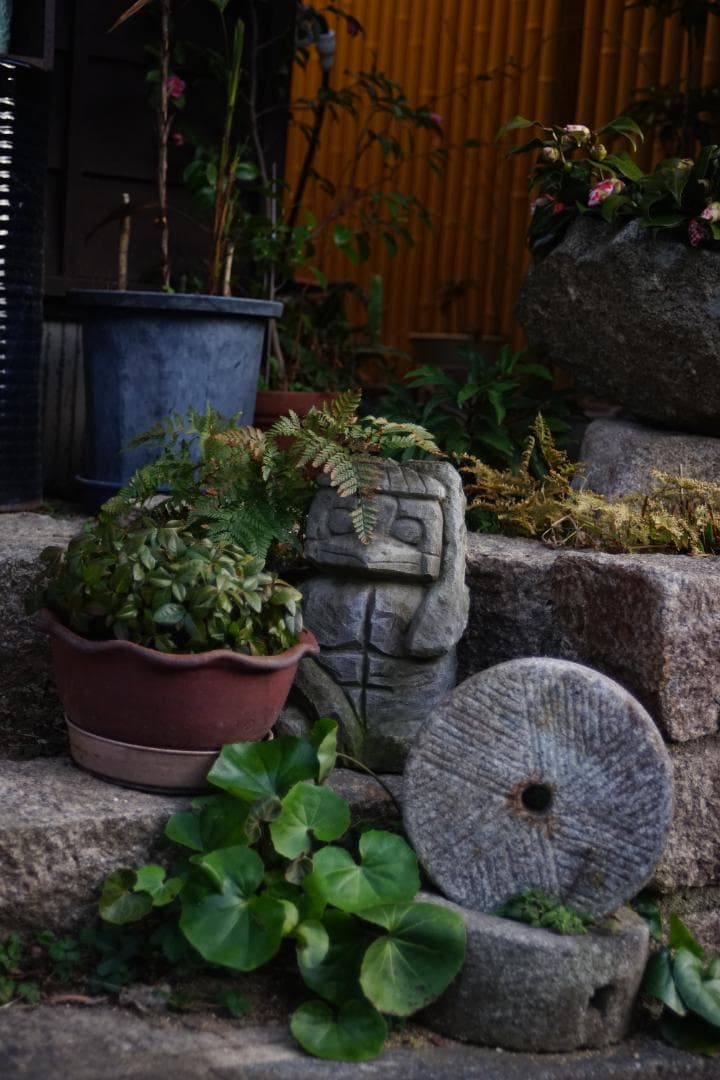 フィルムカメラ Nikon FE / SERIES E Zoom 36-72mm F3.5