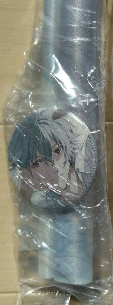 渚カヲル 写真集 ゲーマーズ 特典 缶バッジ タペストリー B2 新品