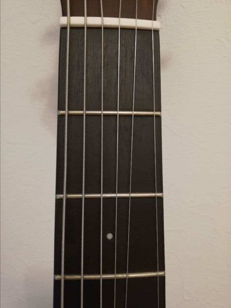 Greg Bennett D-310　アコースティック・ギター　アコギ