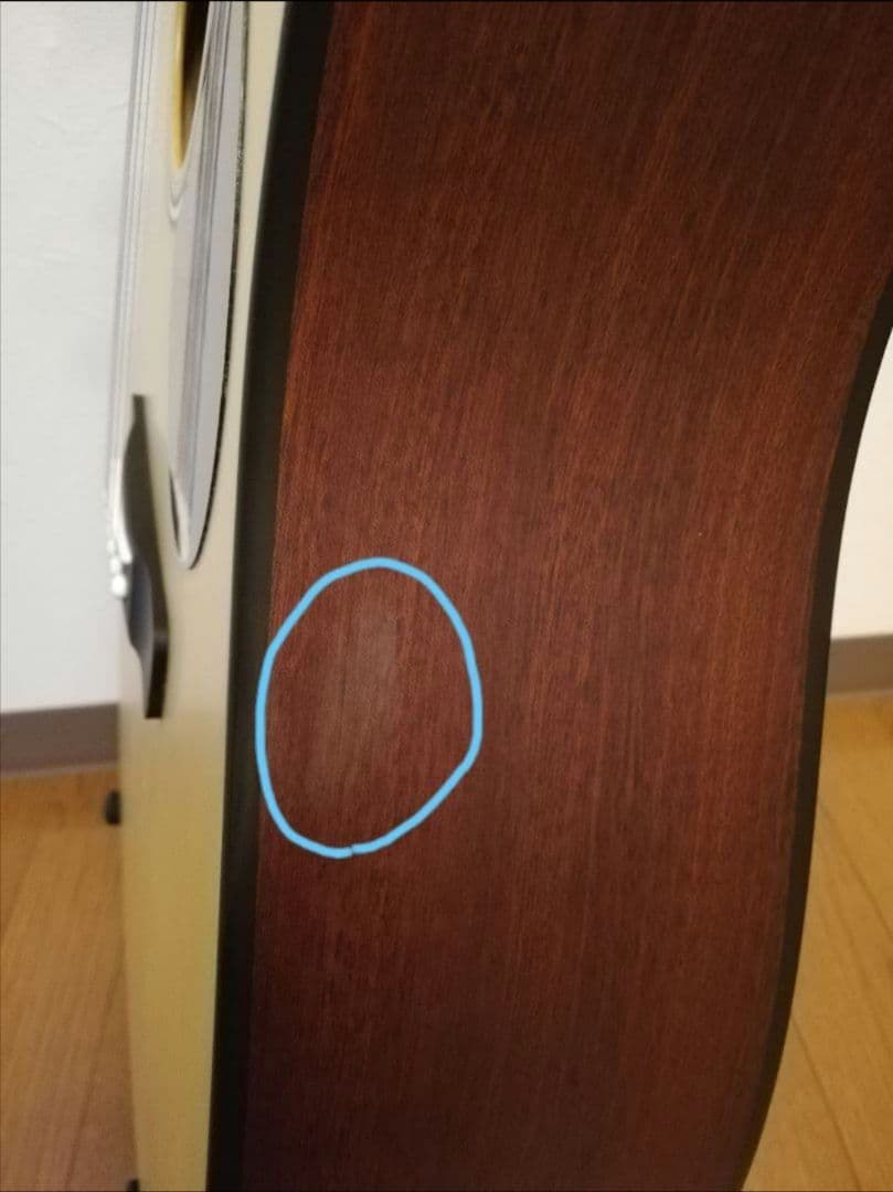 Greg Bennett D-310　アコースティック・ギター　アコギ