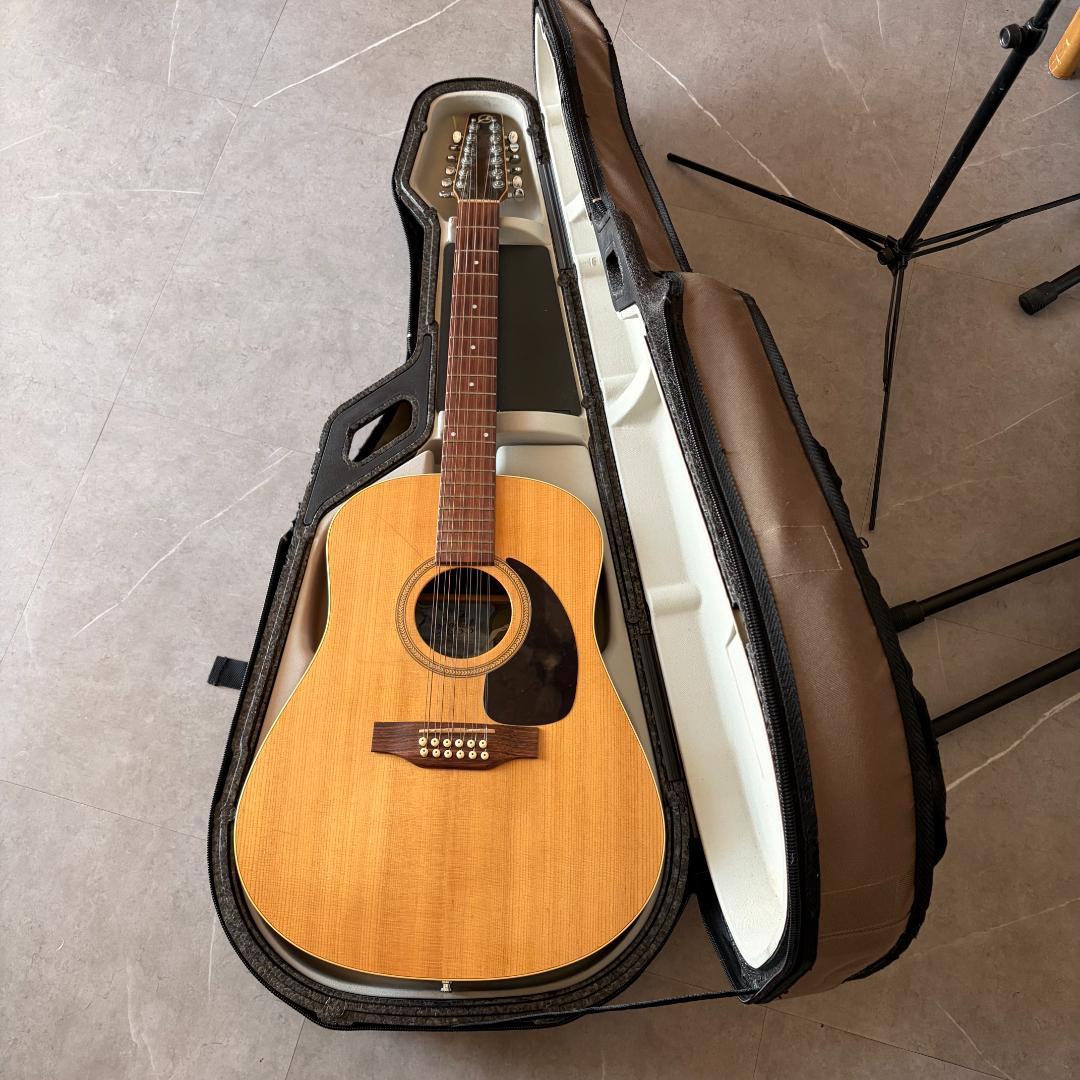 Seagull Guitars　カナダシーガル製12弦ギター M12 CLOSS