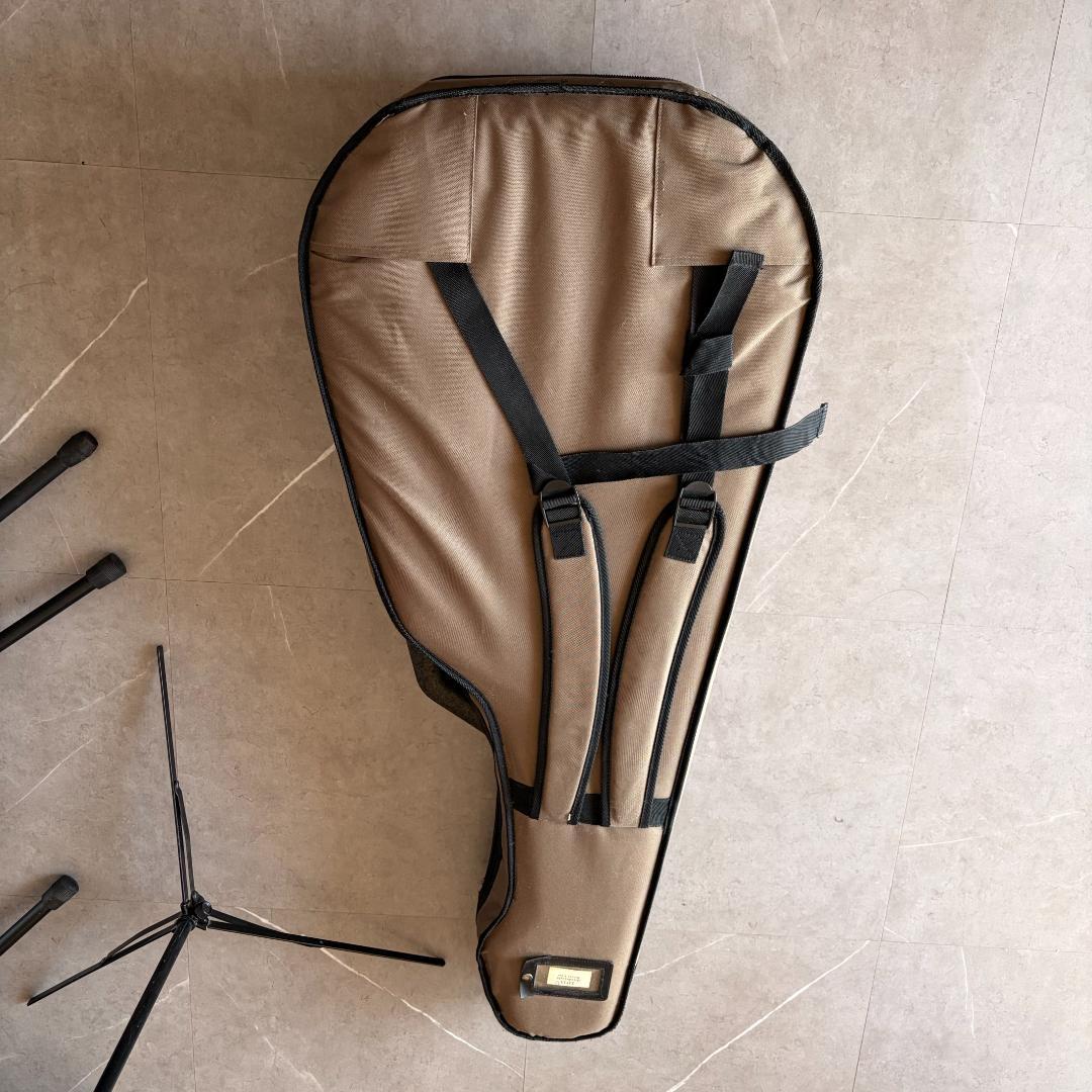 Seagull Guitars　カナダシーガル製12弦ギター M12 CLOSS