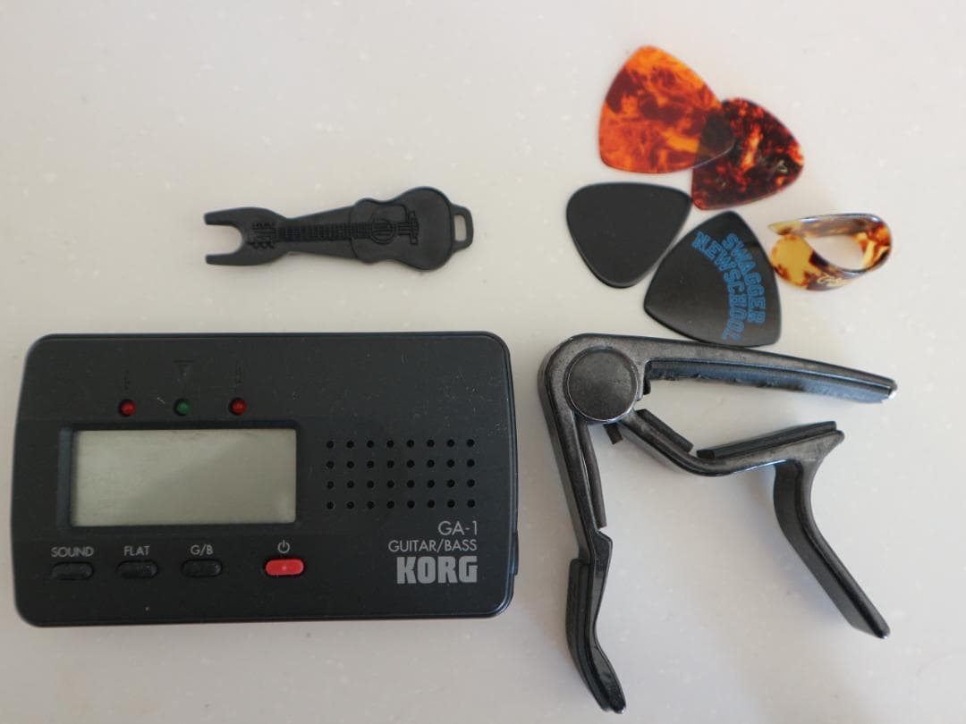 Seagull Guitars　カナダシーガル製12弦ギター M12 CLOSS