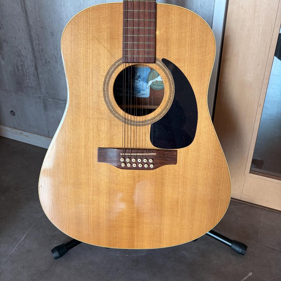 Seagull Guitars　カナダシーガル製12弦ギター M12 CLOSS