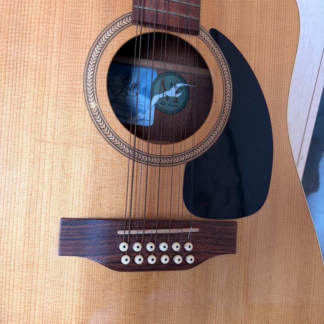Seagull Guitars　カナダシーガル製12弦ギター M12 CLOSS