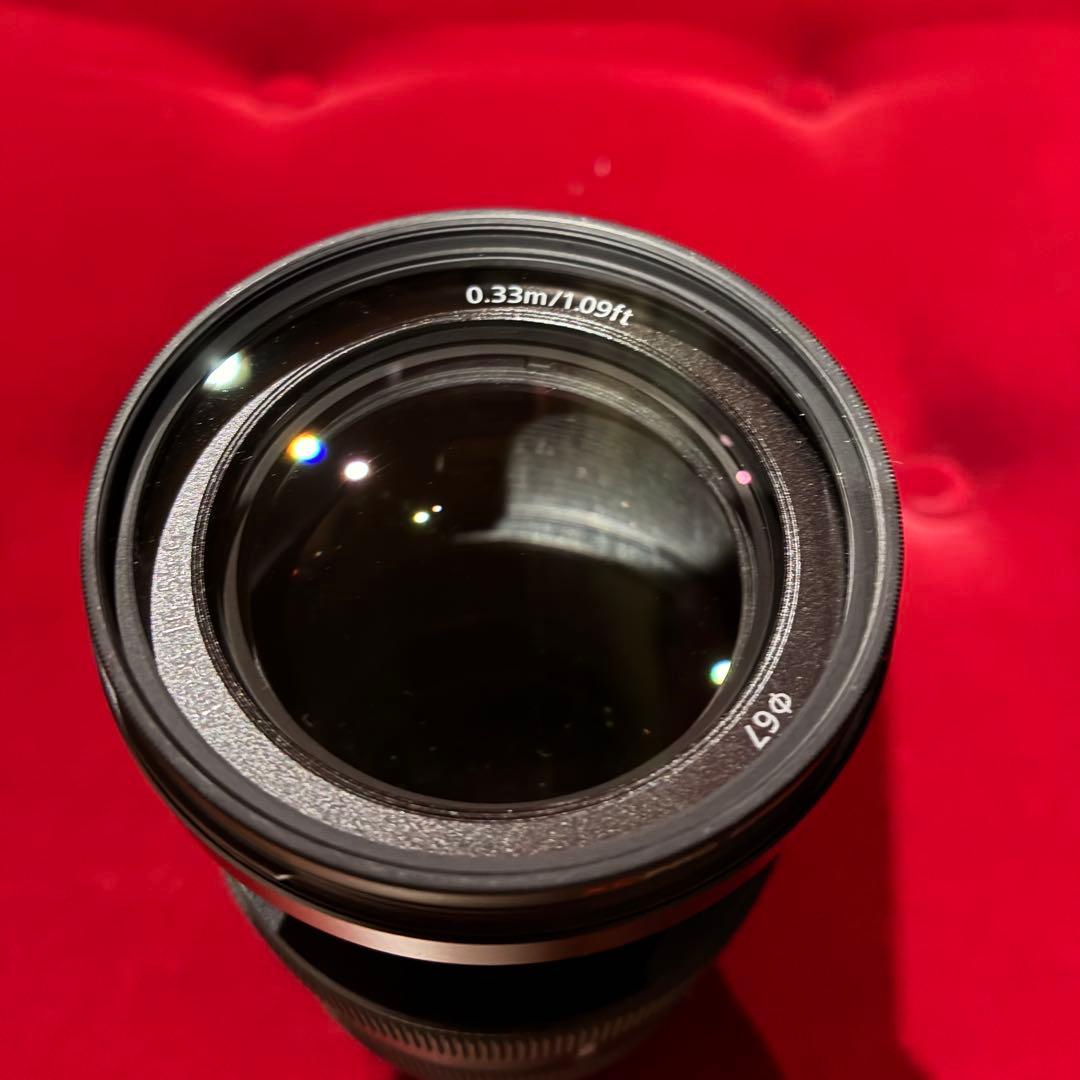 Sony Eマウント 16-55 F2.8 Gレンズ