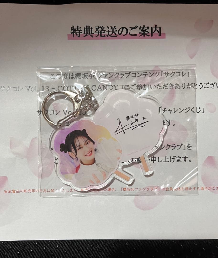 櫻坂46サクコレ特別賞、B賞 山崎天、森田ひかる サイン入りアクリルキーホルダー