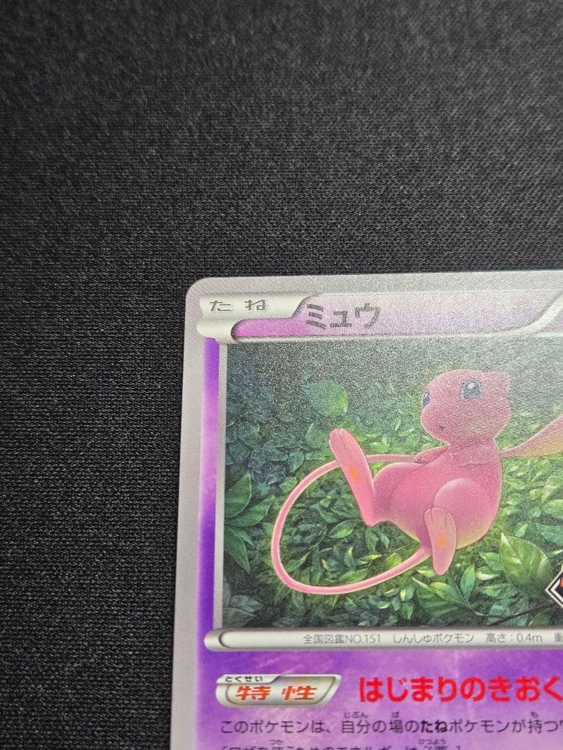 美品 ミュウ はじまりのきおく エクストラバトルの日 343/S-P (M4)