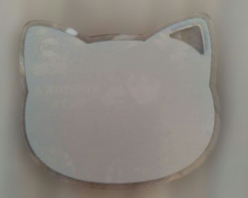 鬼滅の刃 冨岡義勇ナンジャタウンいこいの里巡り ネコ型アクリルコースター