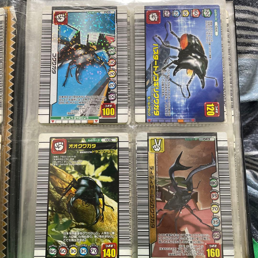 ムシキング　カード