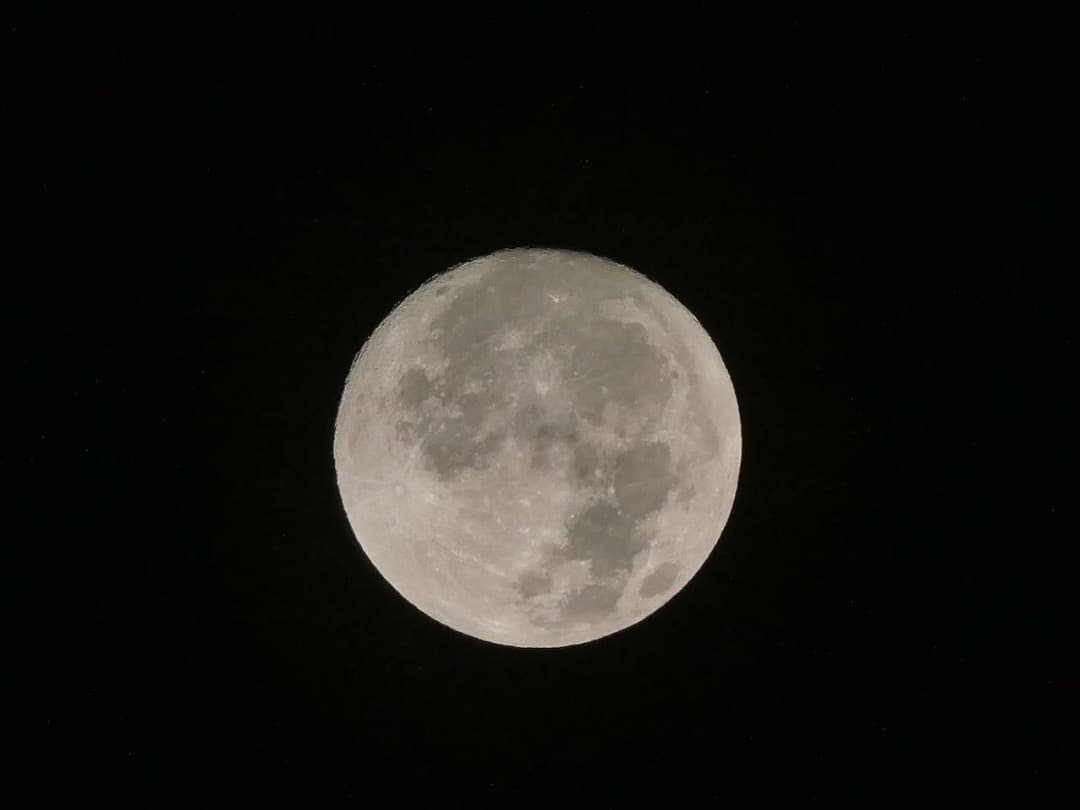 LUMIX TZ99 Panasonic ブラック 残保証あり コンデジ