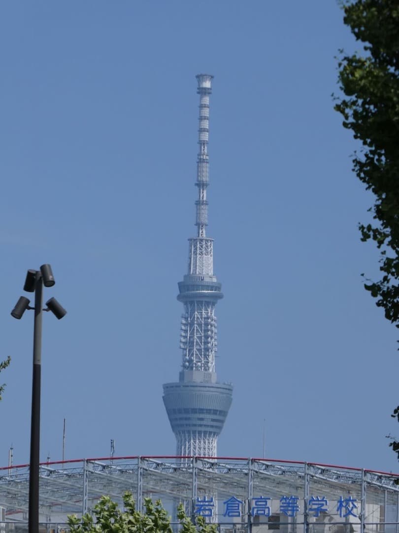 LUMIX TZ99 Panasonic ブラック 残保証あり コンデジ