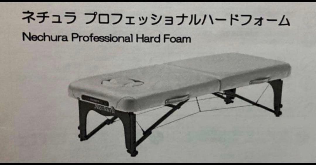 ネチュラ プロフェッショナルハードフォーム ベージュ