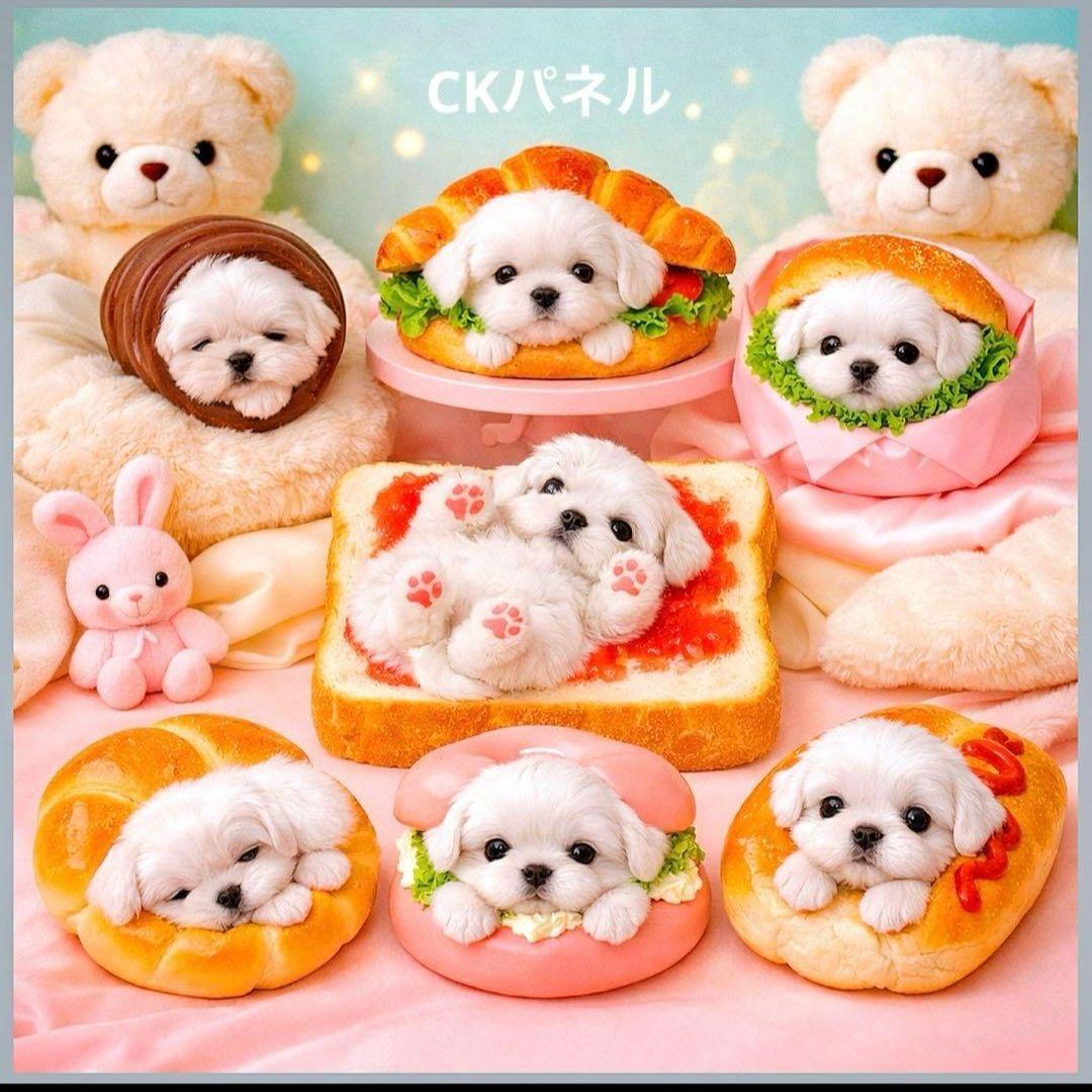 激レアパンチワワ、トイプー、ポメラニアン、パグ、柴犬、マルチーズパネル生地