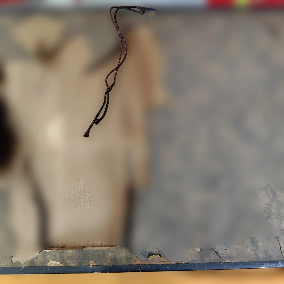 鶴の手描き絵画 黒フレーム付き