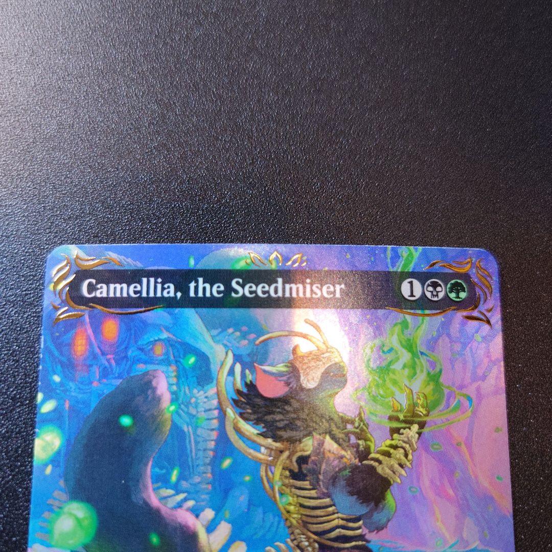種選奴、カメリア レイズドfoil 英語版 MTG BLB ボーダーレス
