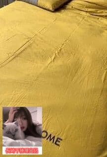 送料無料 コットン100 ベッド用品 ins風 3点セット6