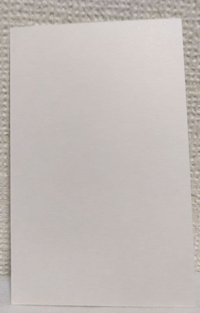 えなこ チェキ風カード 3枚セット