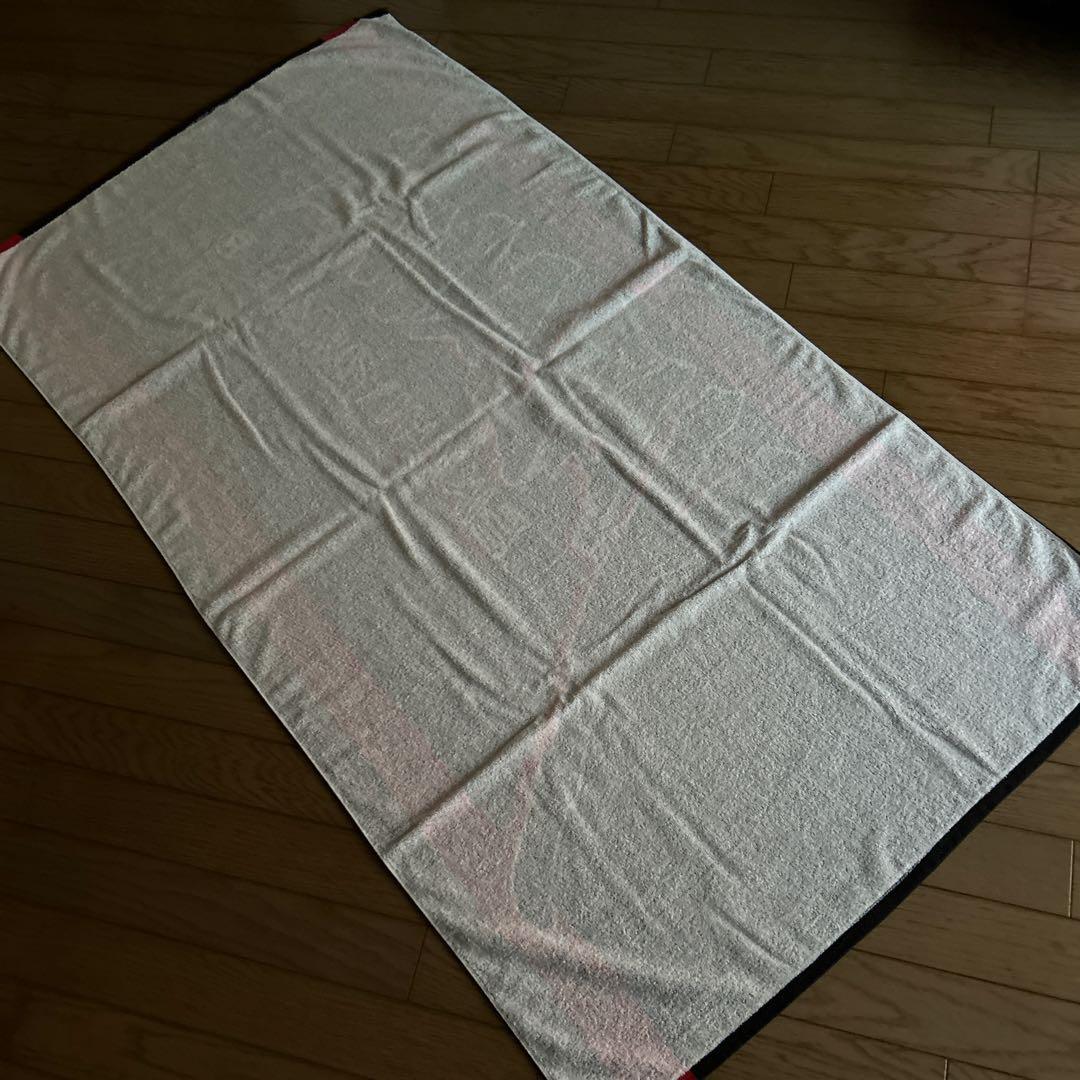 矢沢永吉スペシャルビーチタオル2枚セット出品☆