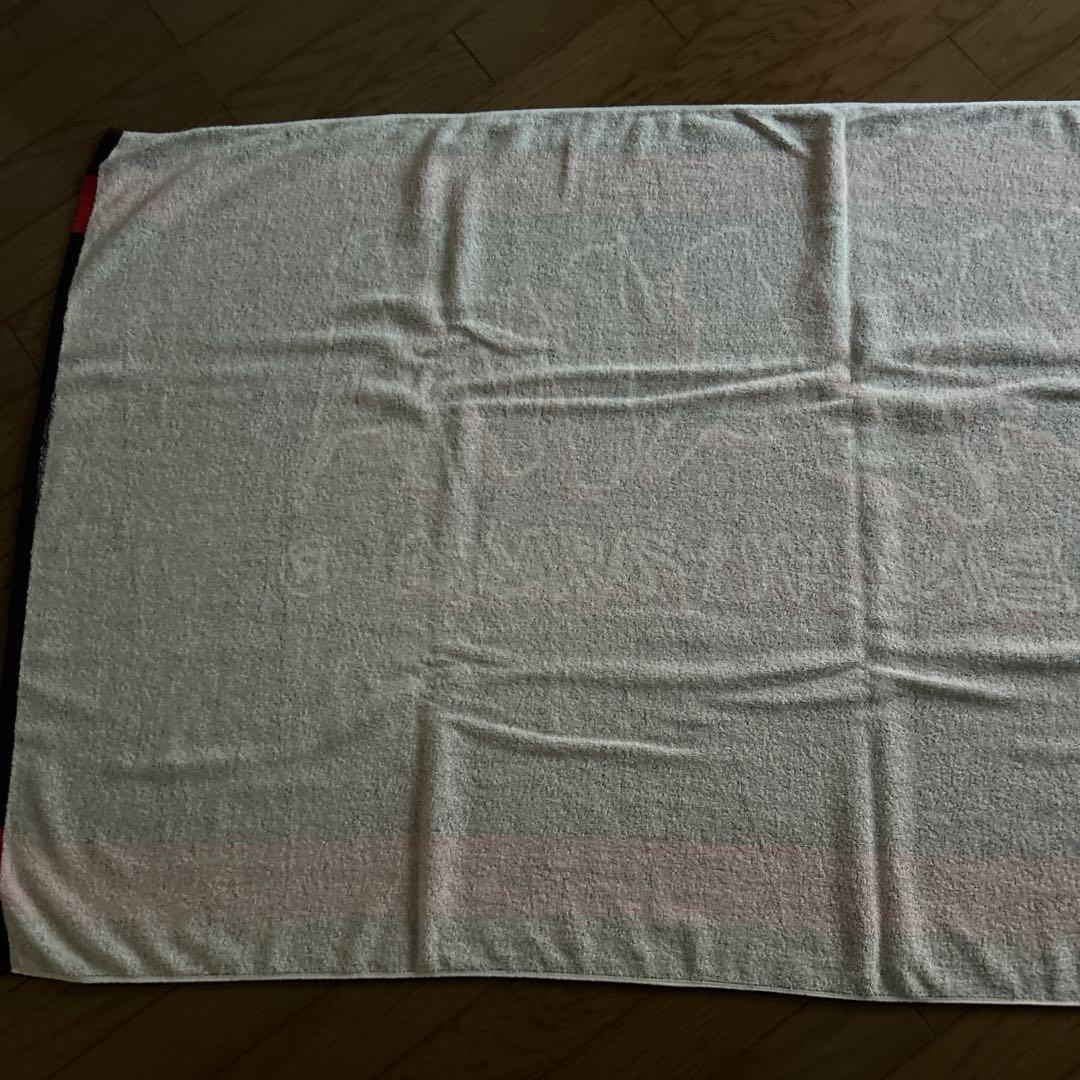 矢沢永吉スペシャルビーチタオル2枚セット出品☆