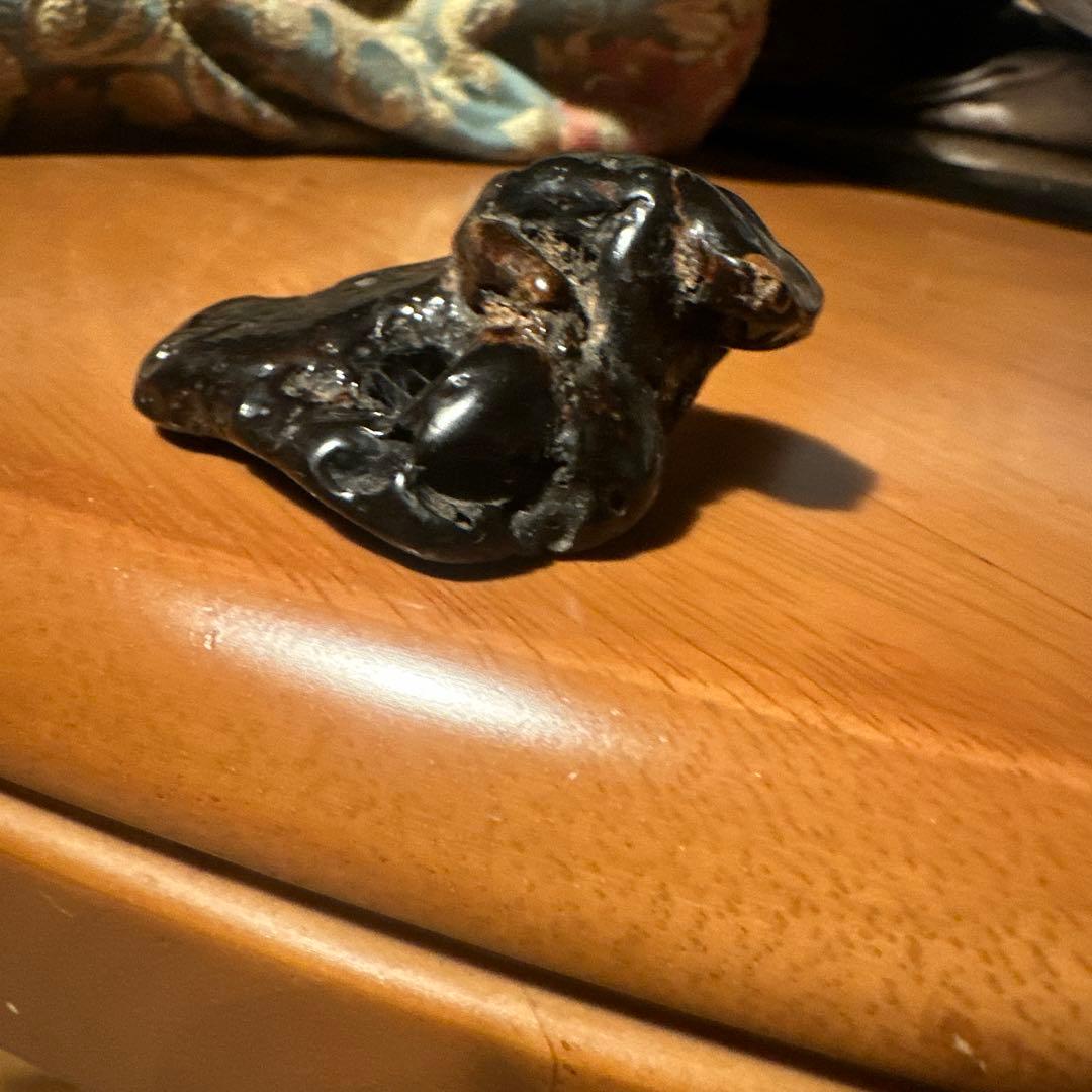 黒海松　カエル　根付