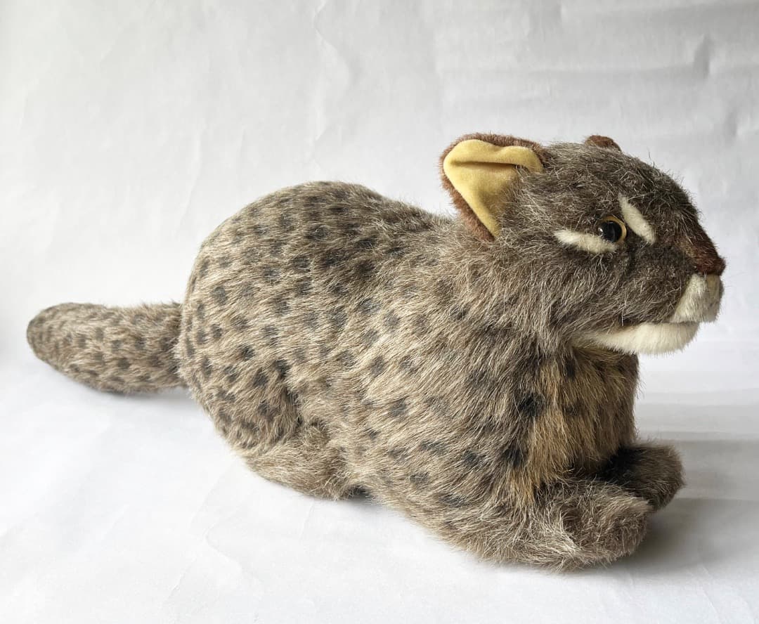 やまね工房 イリオモテヤマネコ ぬいぐるみ｜希少・リアル造形