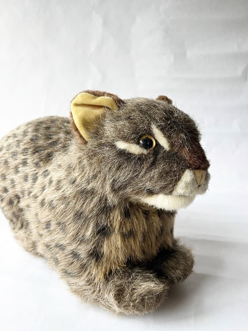 やまね工房 イリオモテヤマネコ ぬいぐるみ｜希少・リアル造形
