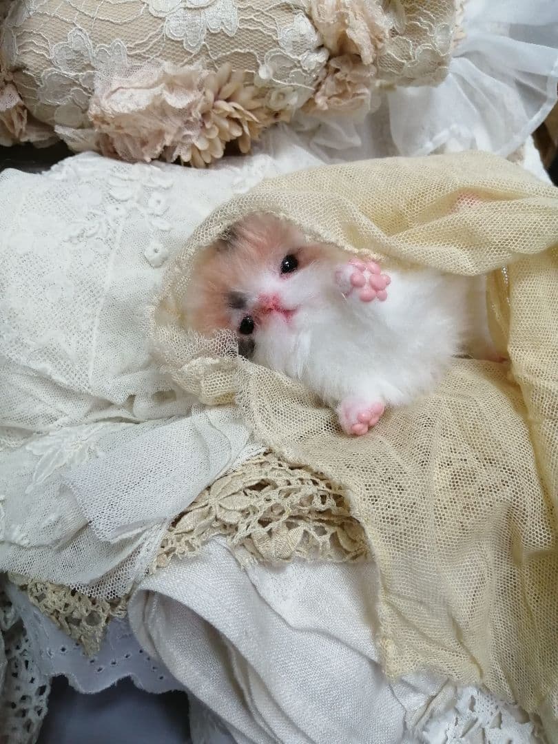 ♥三毛猫♥ちるちるちゃんっ♥16センチ・生後2週間(≧▽≦)子猫❤️