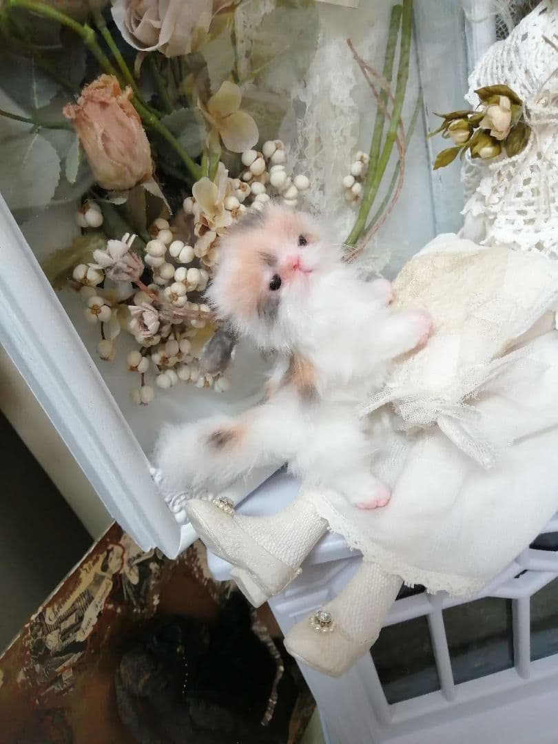 ♥三毛猫♥ちるちるちゃんっ♥16センチ・生後2週間(≧▽≦)子猫❤️