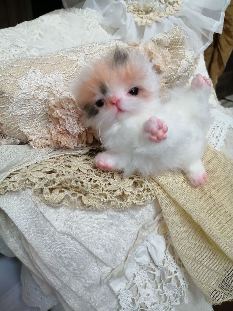 ♥三毛猫♥ちるちるちゃんっ♥16センチ・生後2週間(≧▽≦)子猫❤️