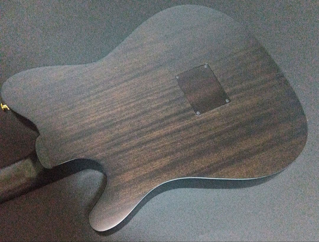 Ibanez FRH20FMN DGL エレガット