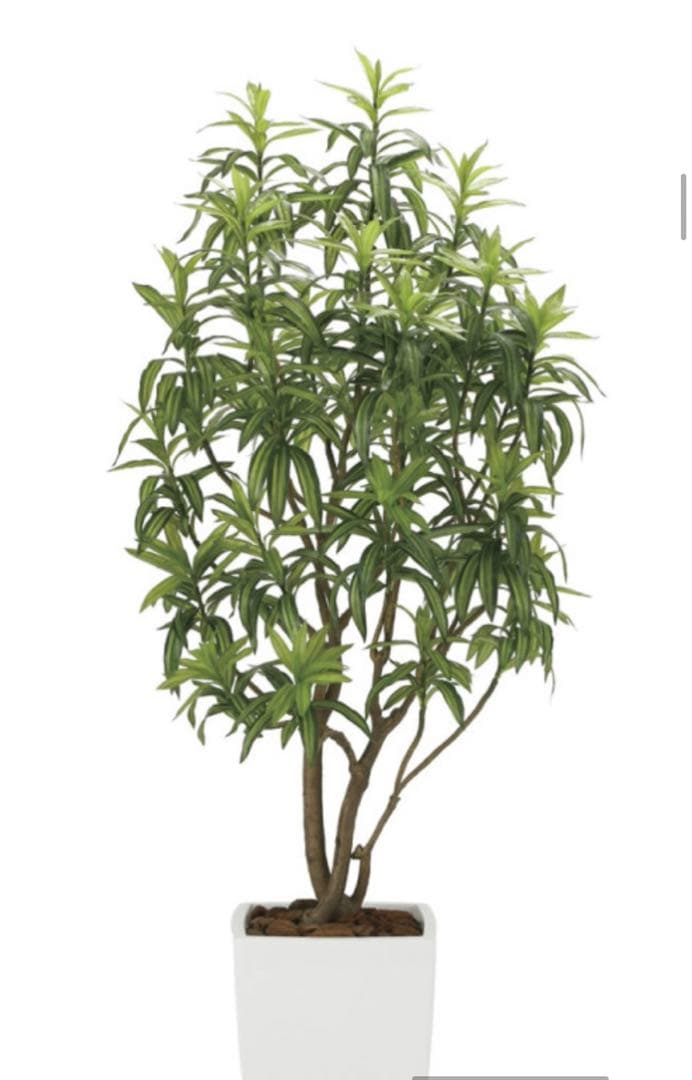 光触媒　人工観葉植物　フェイクグリーン　フレッシュドラセナW1.8m