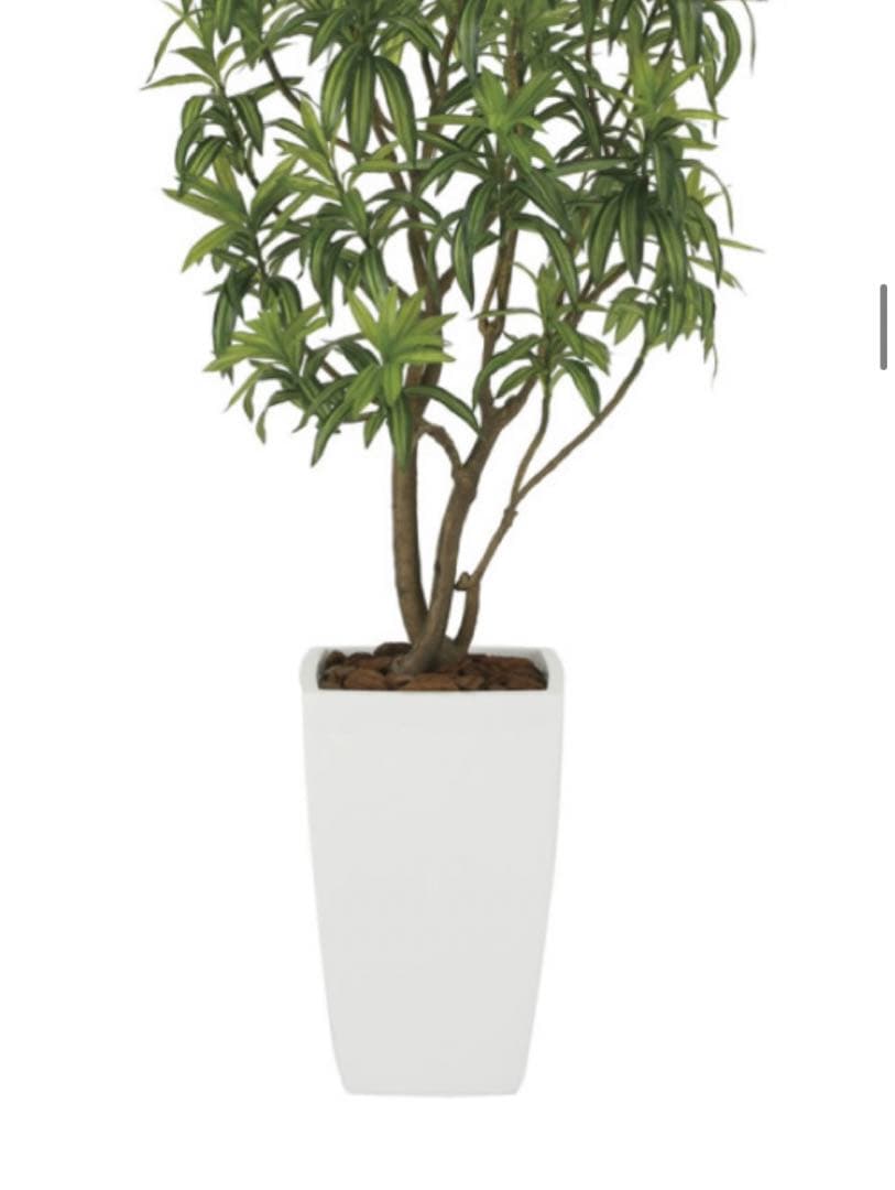 光触媒　人工観葉植物　フェイクグリーン　フレッシュドラセナW1.8m