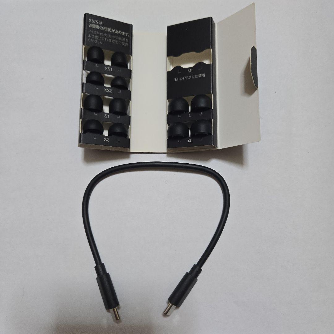 Technics AZ80 ワイヤレスイヤホン ジャンク