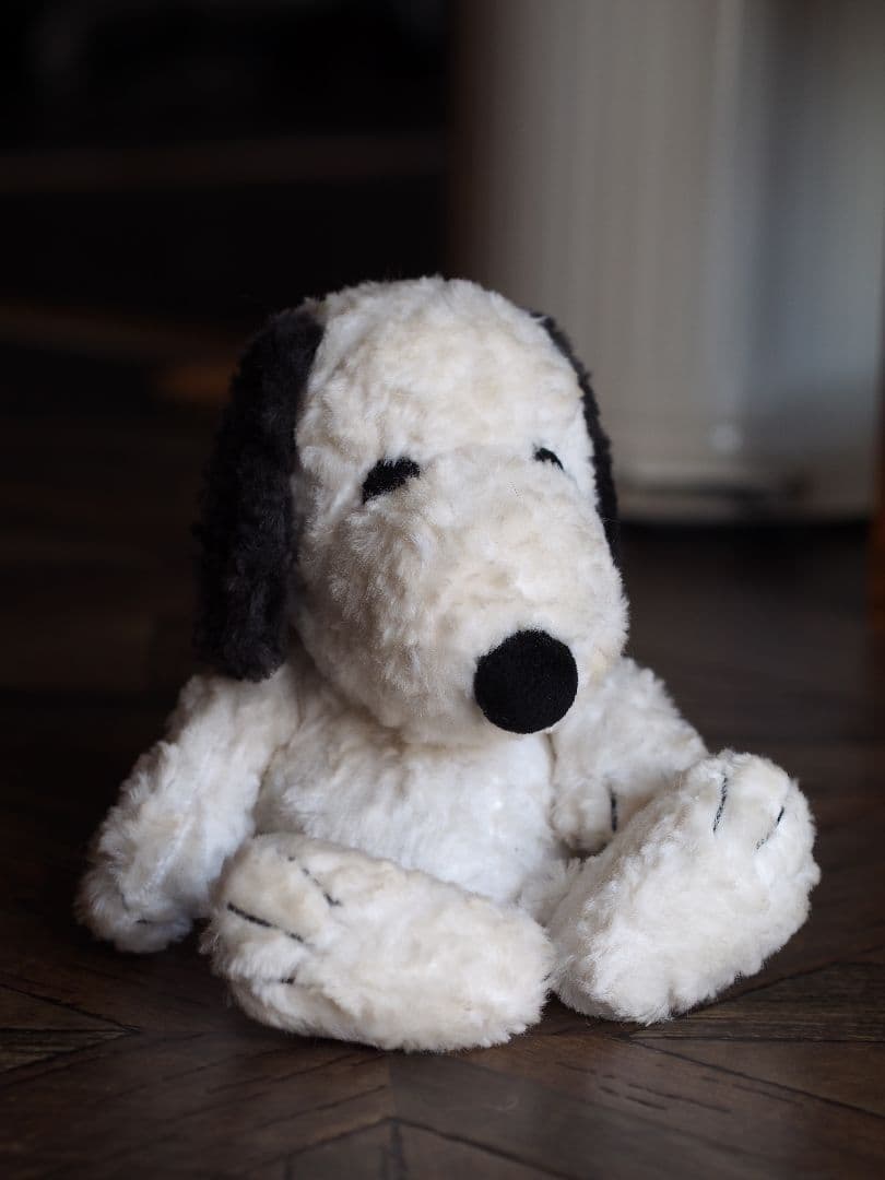 オリンパス　M.ZUIKO 45mm f1.8　ブラック