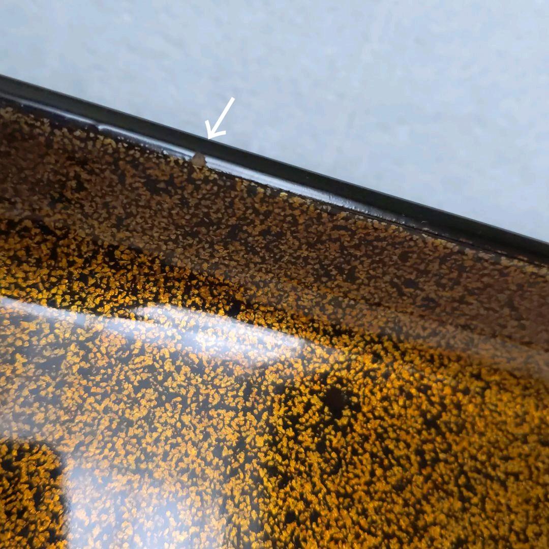 輪島塗　お膳　梨地　希少　訳あり