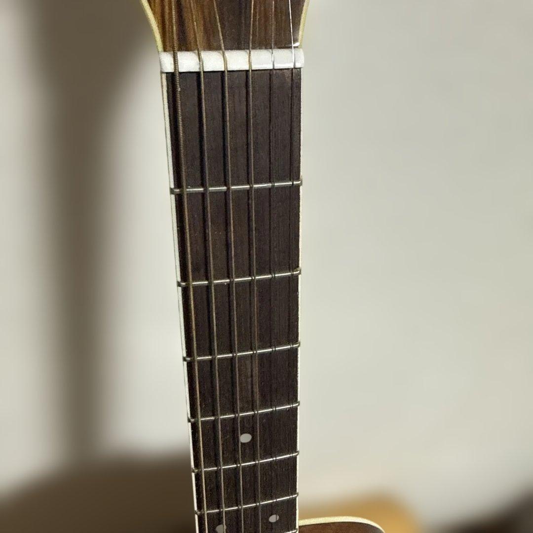 Morris アコースティックギター MD-507 ケース付き