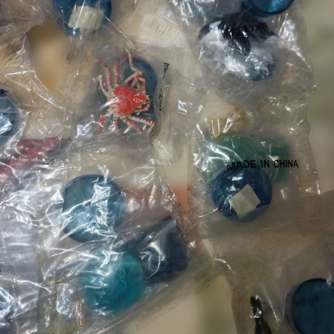 海洋堂海の生き物