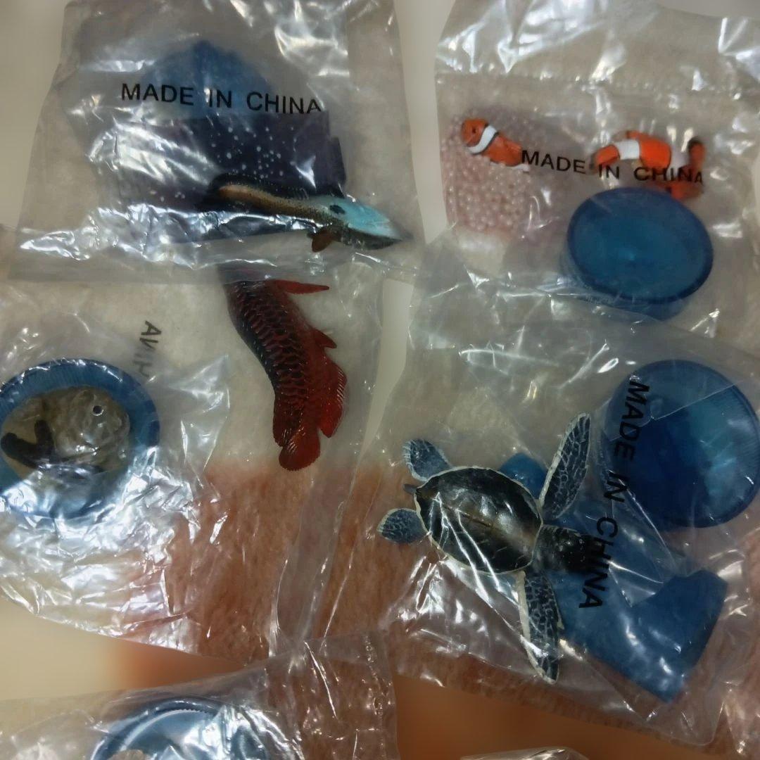 海洋堂海の生き物