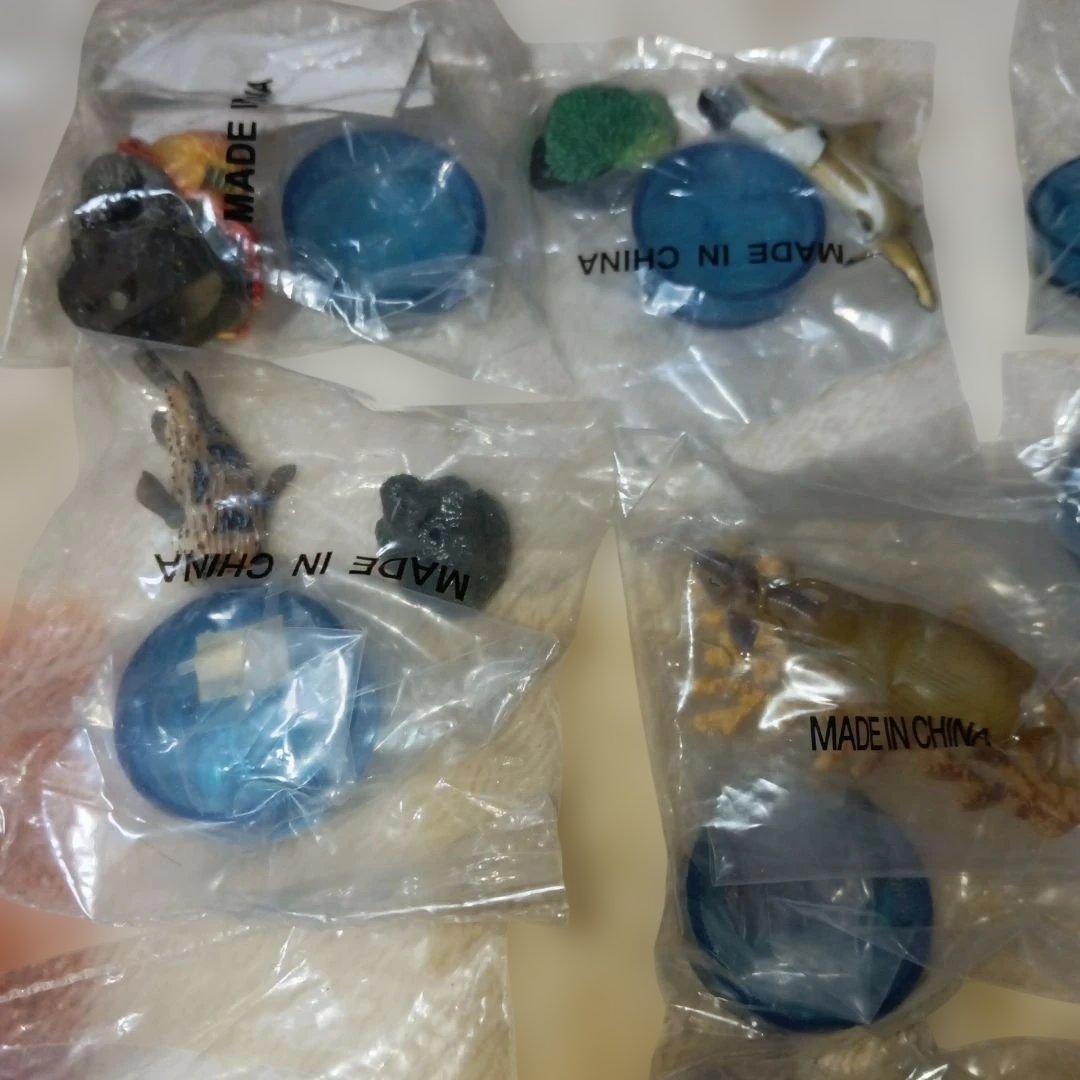 海洋堂海の生き物