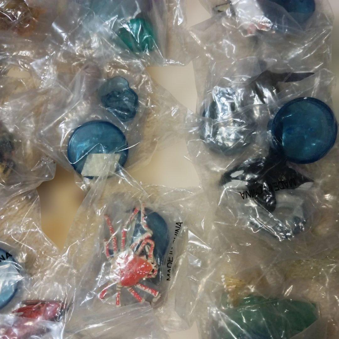 海洋堂海の生き物