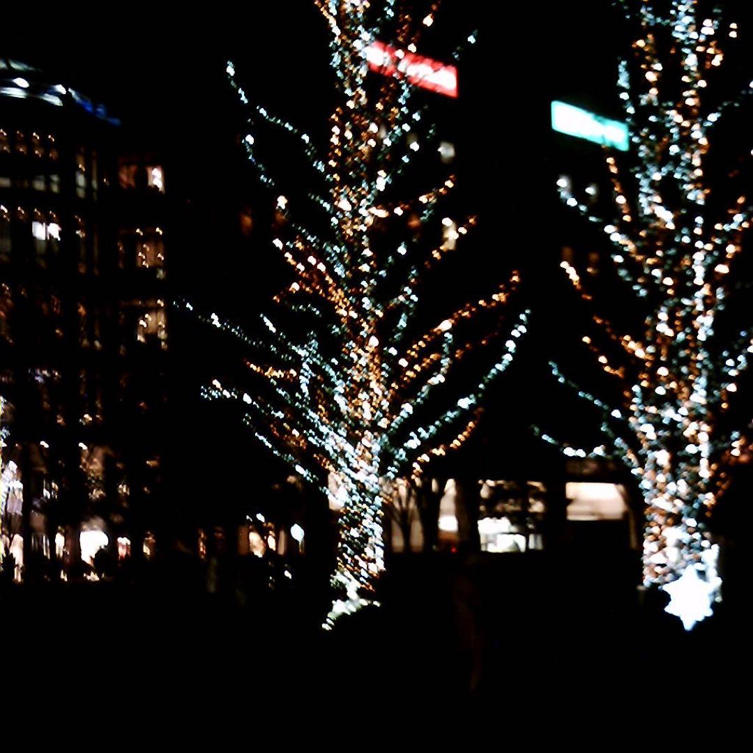 VISTA QUEST VQ1005 BLK 黒