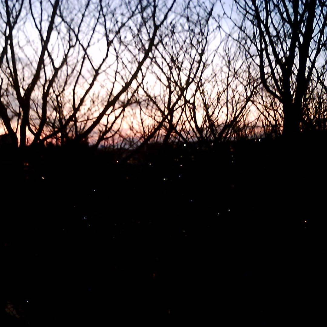 VISTA QUEST VQ1005 BLK 黒