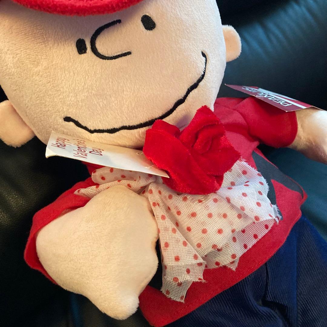 PEANUTS　チャーリーブラウン　バレンタイン　US　ぬいぐるみ　SNOOPY