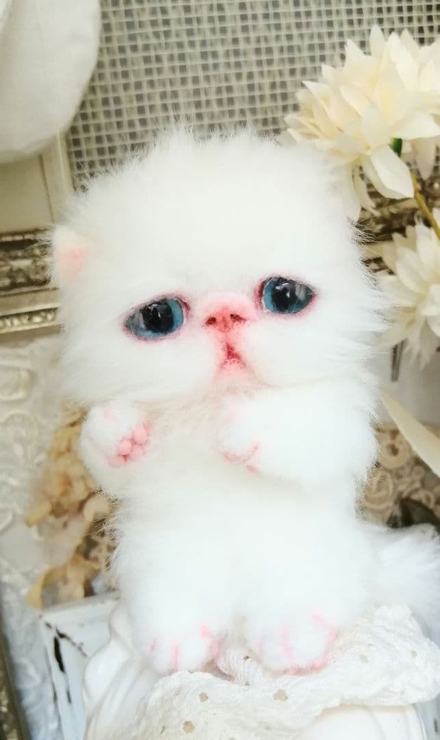 ミニミニ子猫ちゃん♡エキゾチック♡アートドール♡ぬいぐるみ♡