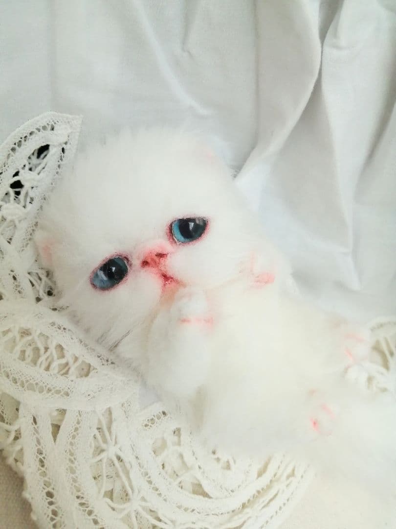 ミニミニ子猫ちゃん♡エキゾチック♡アートドール♡ぬいぐるみ♡