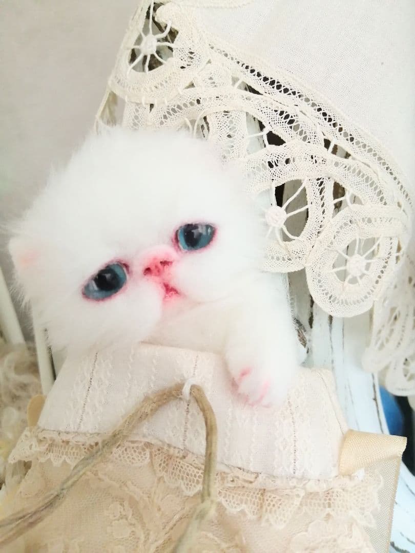 ミニミニ子猫ちゃん♡エキゾチック♡アートドール♡ぬいぐるみ♡